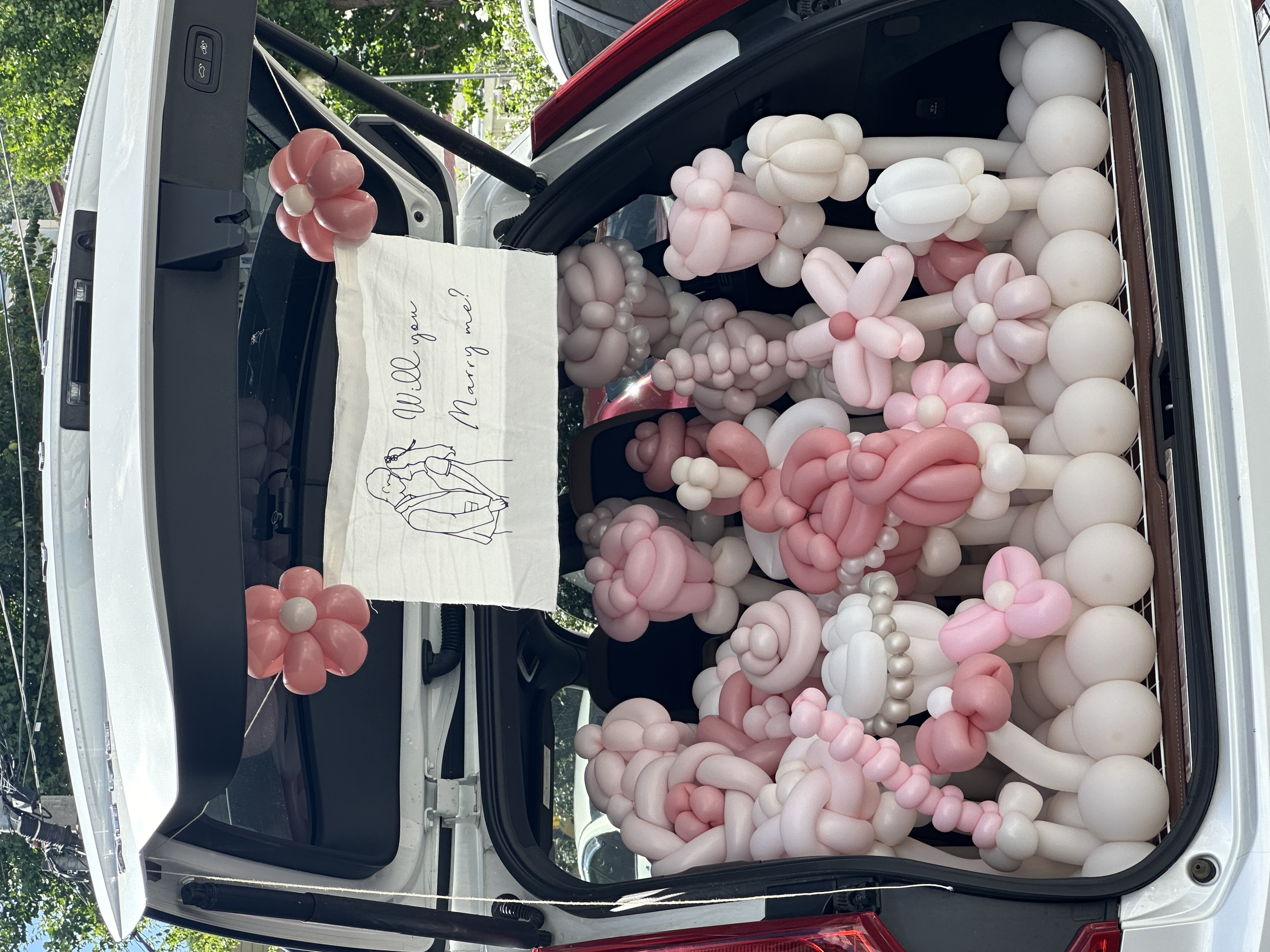 풍선꽃 정원 같은 특별한 고백