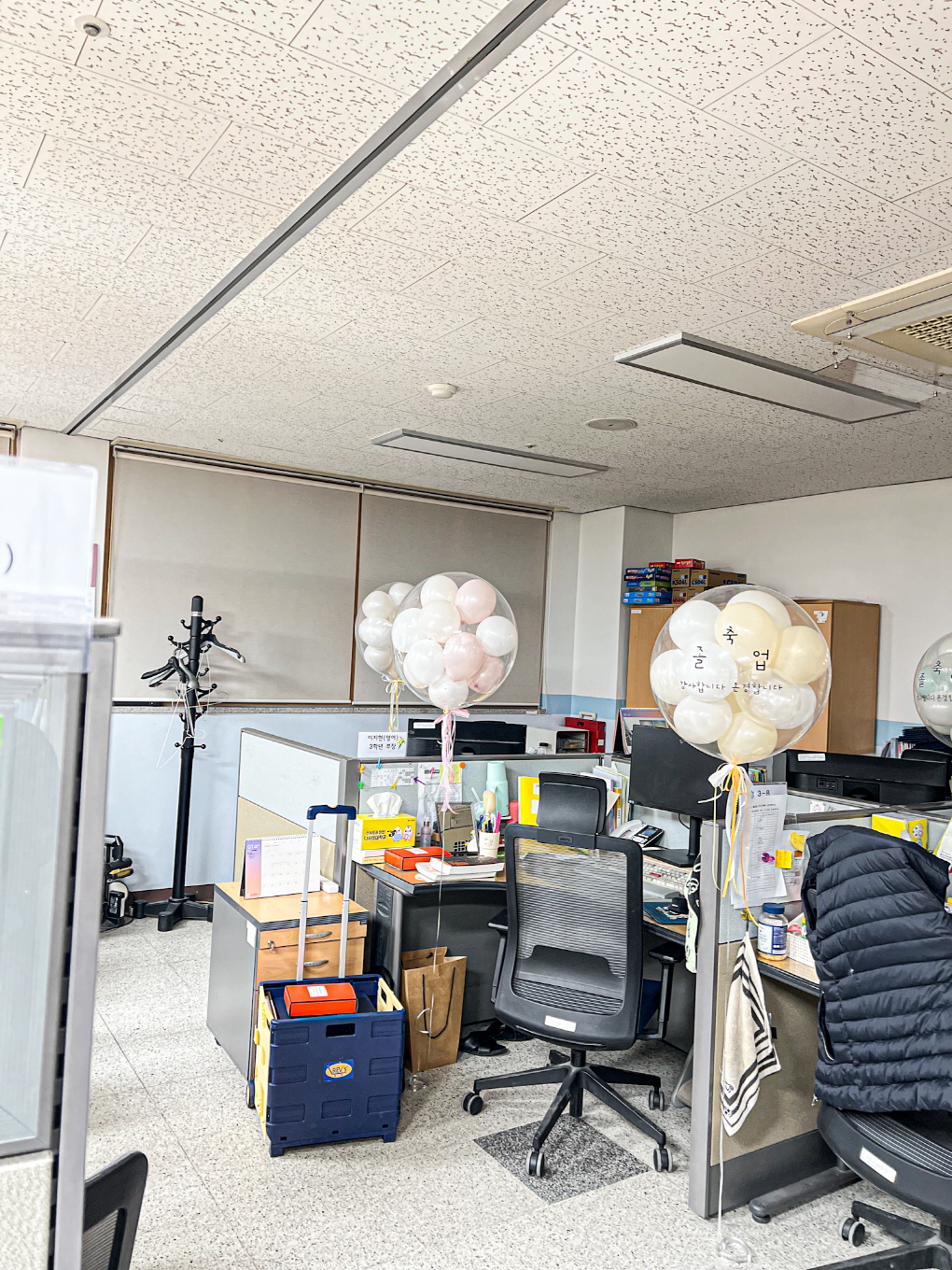 광교고등학교 2026 졸업식 풍선장식 (복도 행잉 + 메인 포토존 + 담임선생님 서프라이즈)